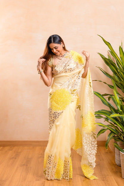 ORGANZA SAREE