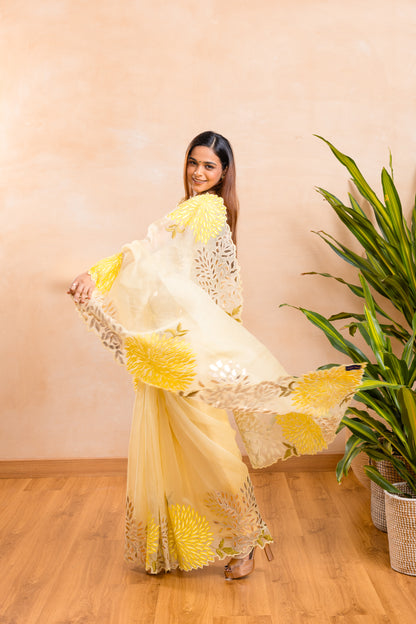 ORGANZA SAREE