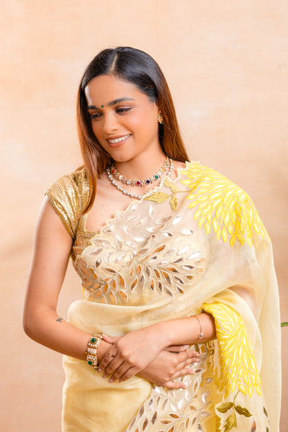 ORGANZA SAREE