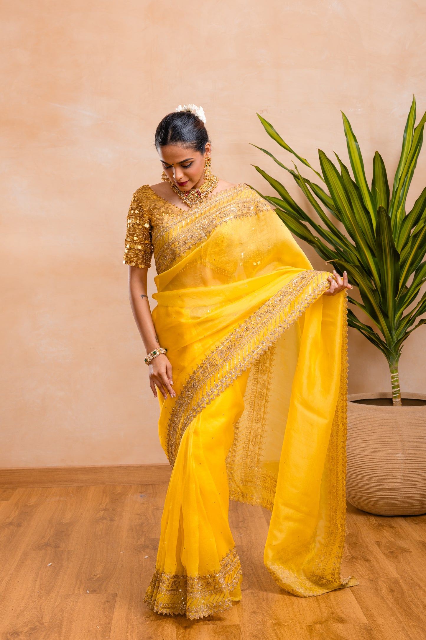 ORGANZA SAREE