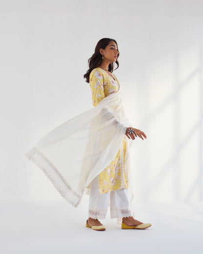 AMINA KURTA SET